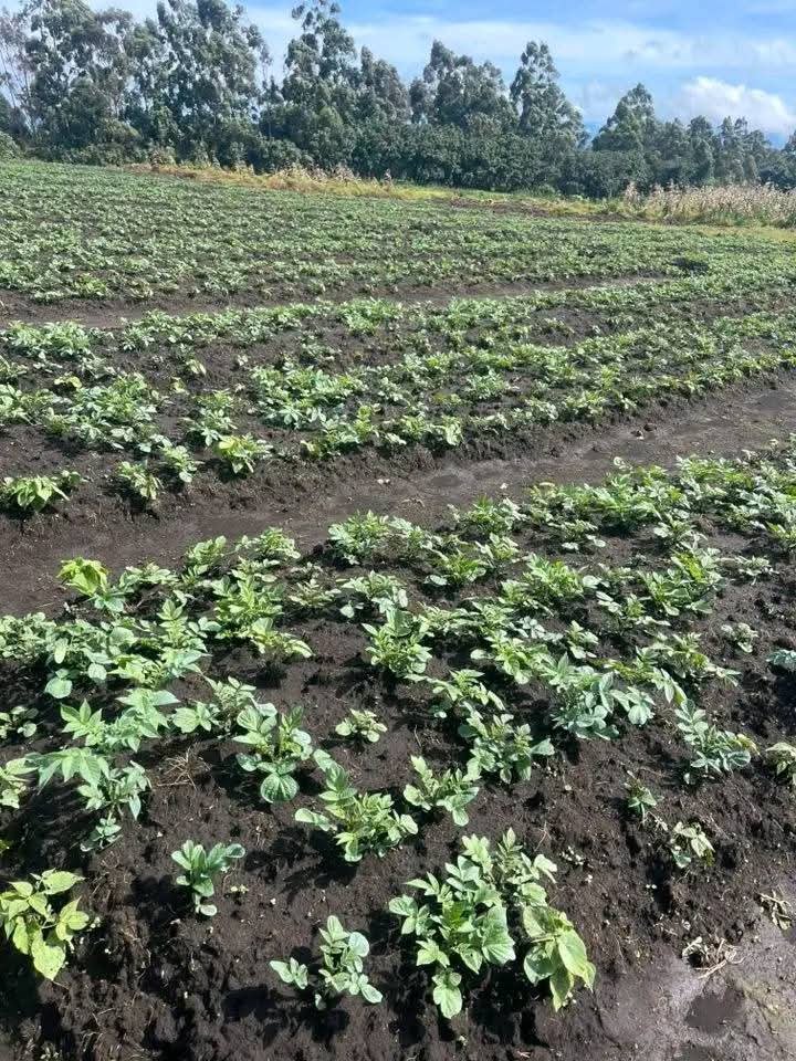 scores.org cooperative agriculture fields